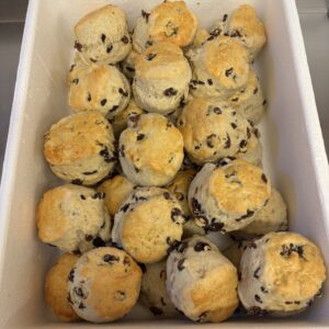 Box of 30 Sultana Scones